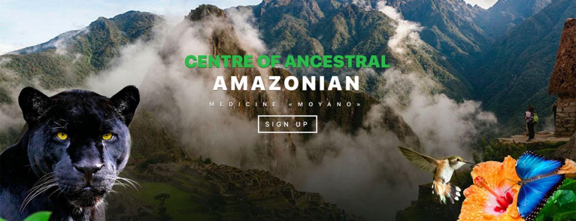 Go for Ayahuasca Retreat in Peru
